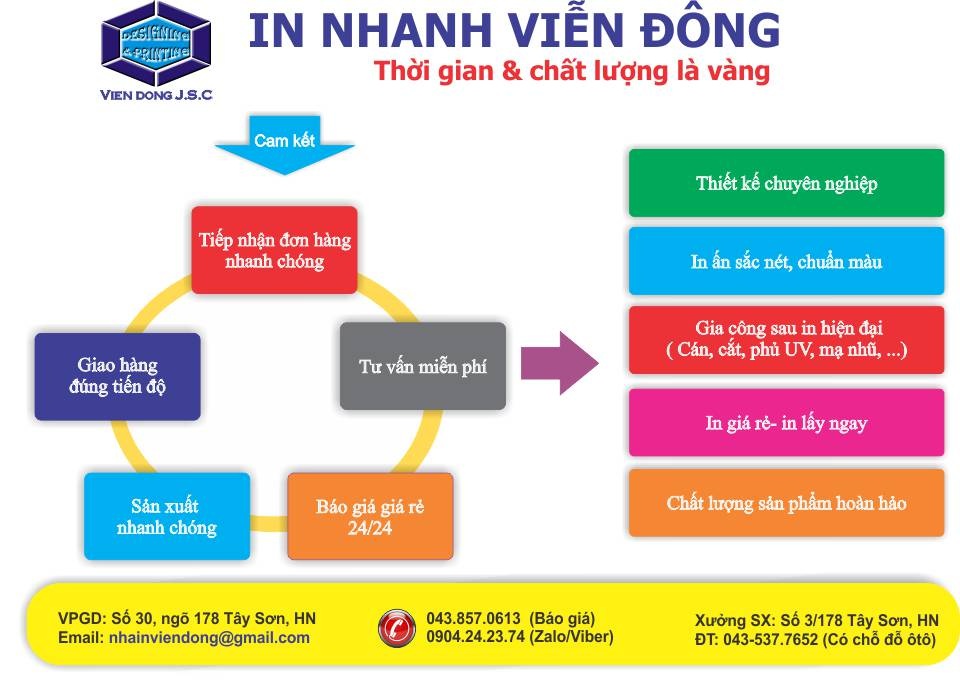 hoat dong cong ty vien dong